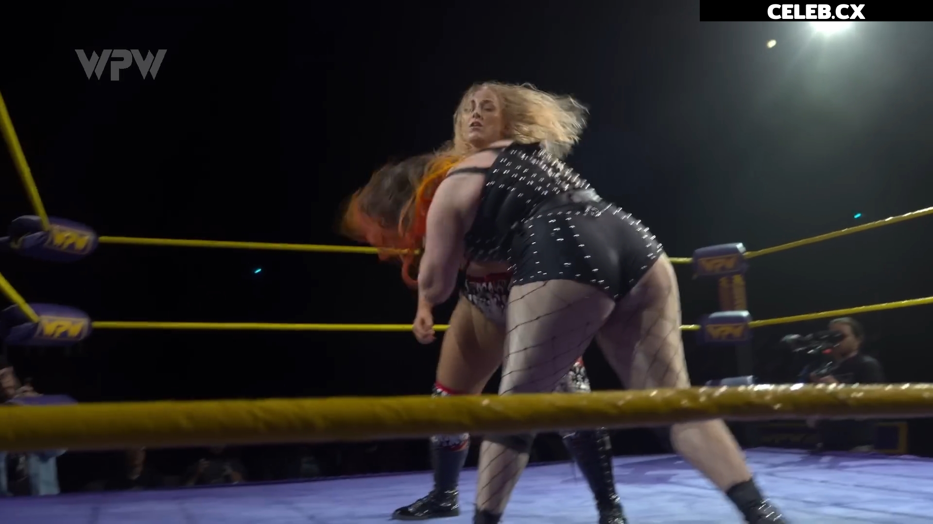 Women of Professional Wrestling Image 7604404