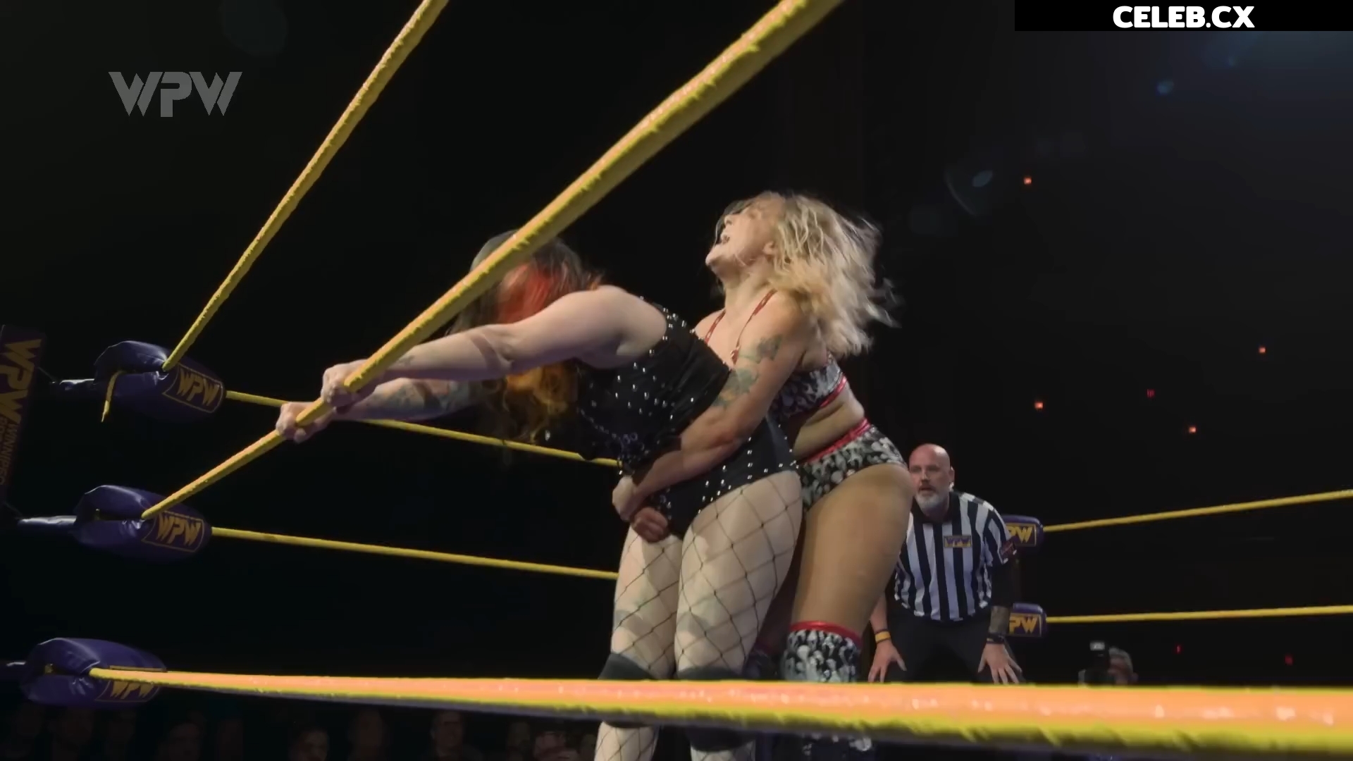 Women of Professional Wrestling Image 7604407