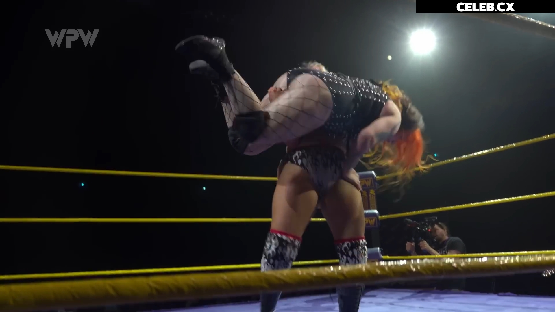 Women of Professional Wrestling Image 7604426
