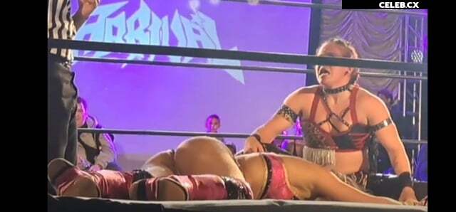 Women of Professional Wrestling Image 7604703