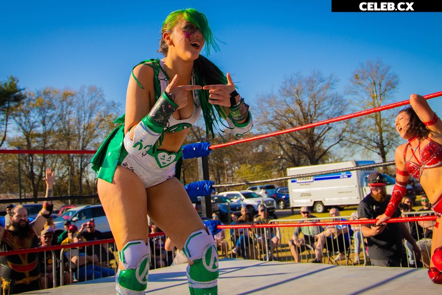 Women of Professional Wrestling Image 7604164