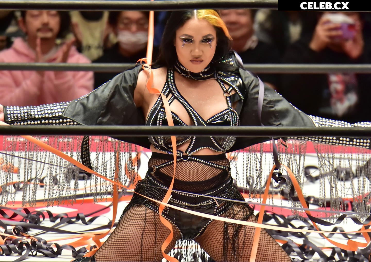 Women of Professional Wrestling Image 7604081
