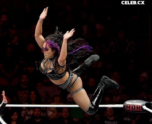 Women of Professional Wrestling Image 7604072