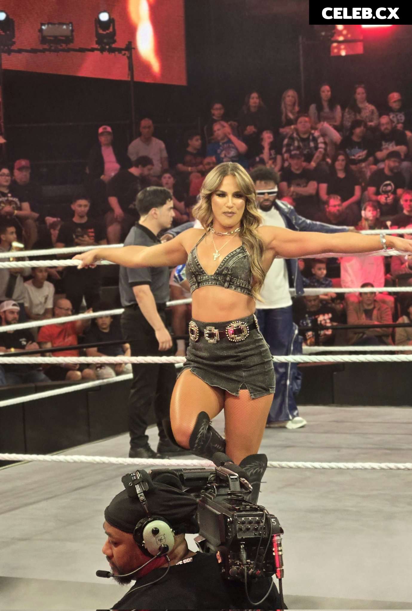 Women of Professional Wrestling Image 7604070