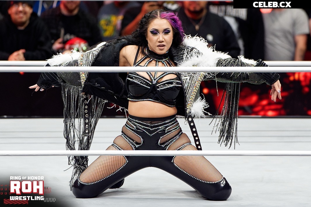 Women of Professional Wrestling Image 7604073