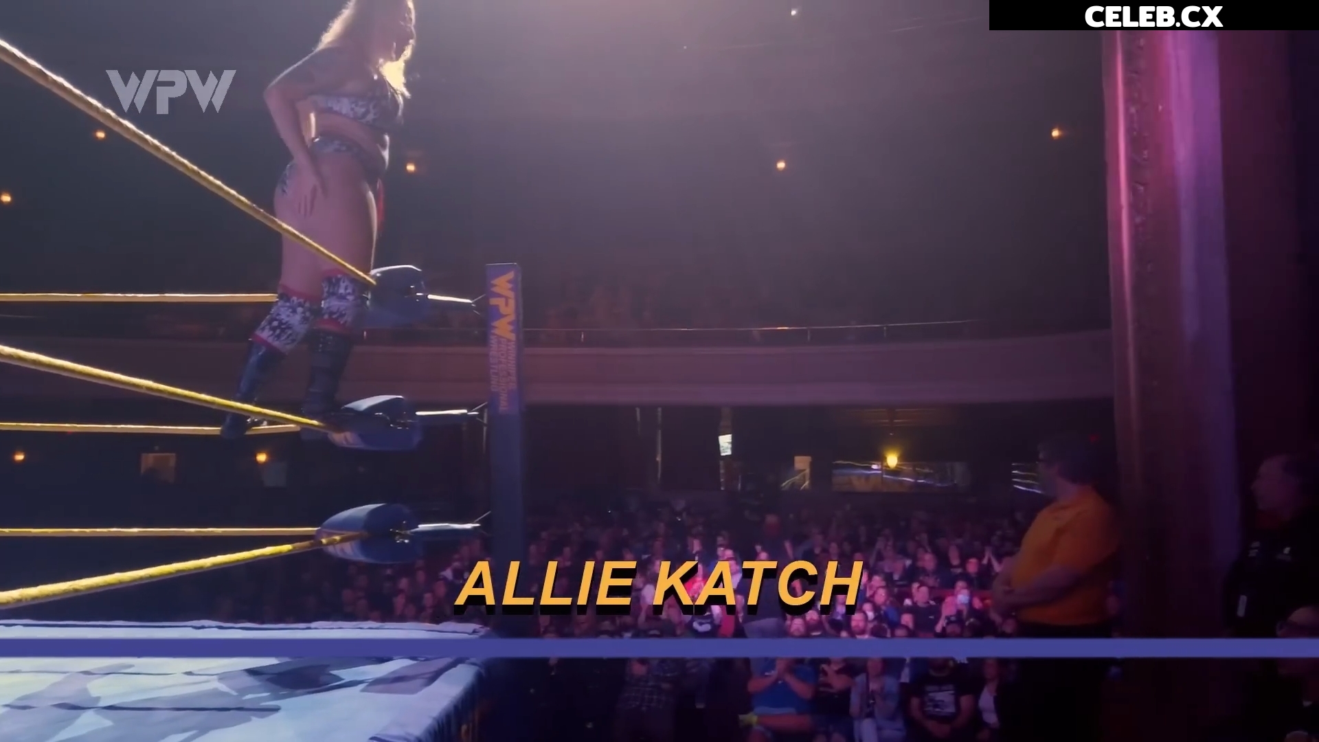 Women of Professional Wrestling Image 7604398