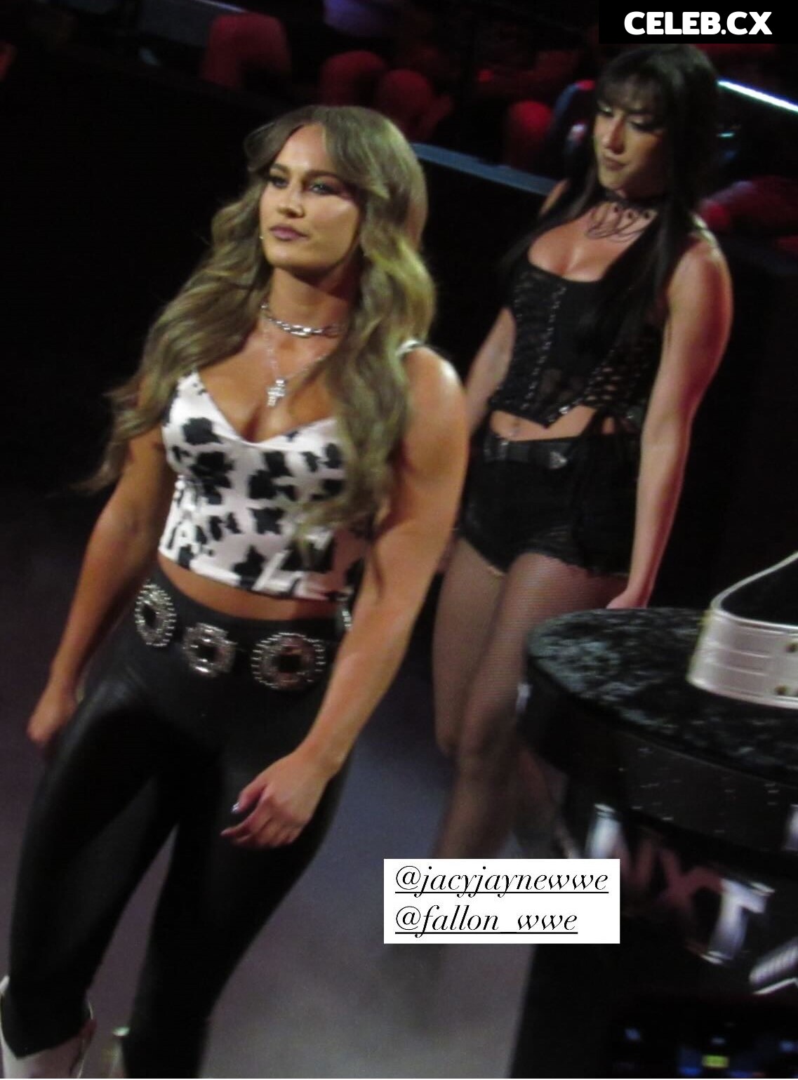 Women of Professional Wrestling Image 7604390