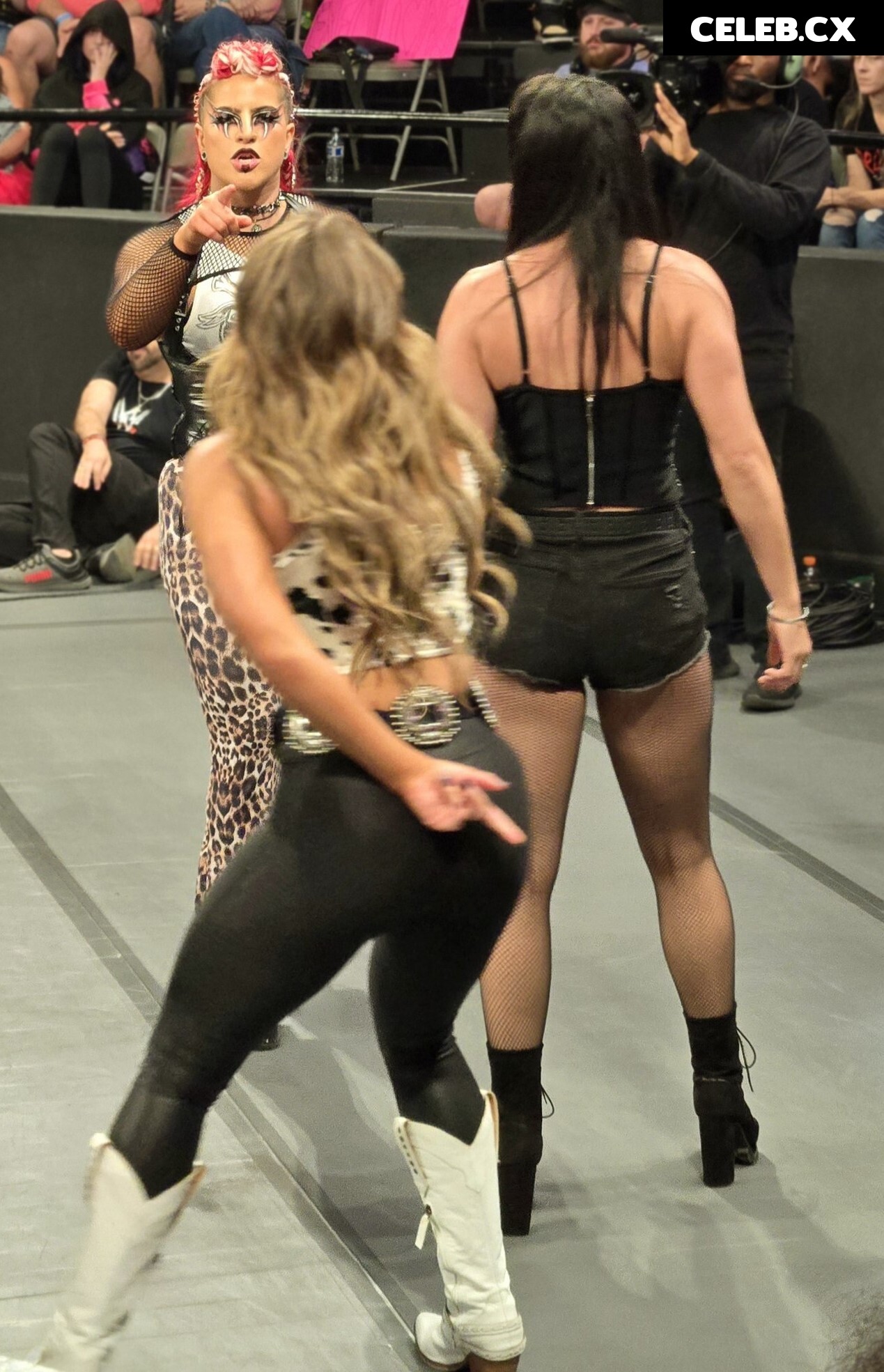 Women of Professional Wrestling Image 7604386