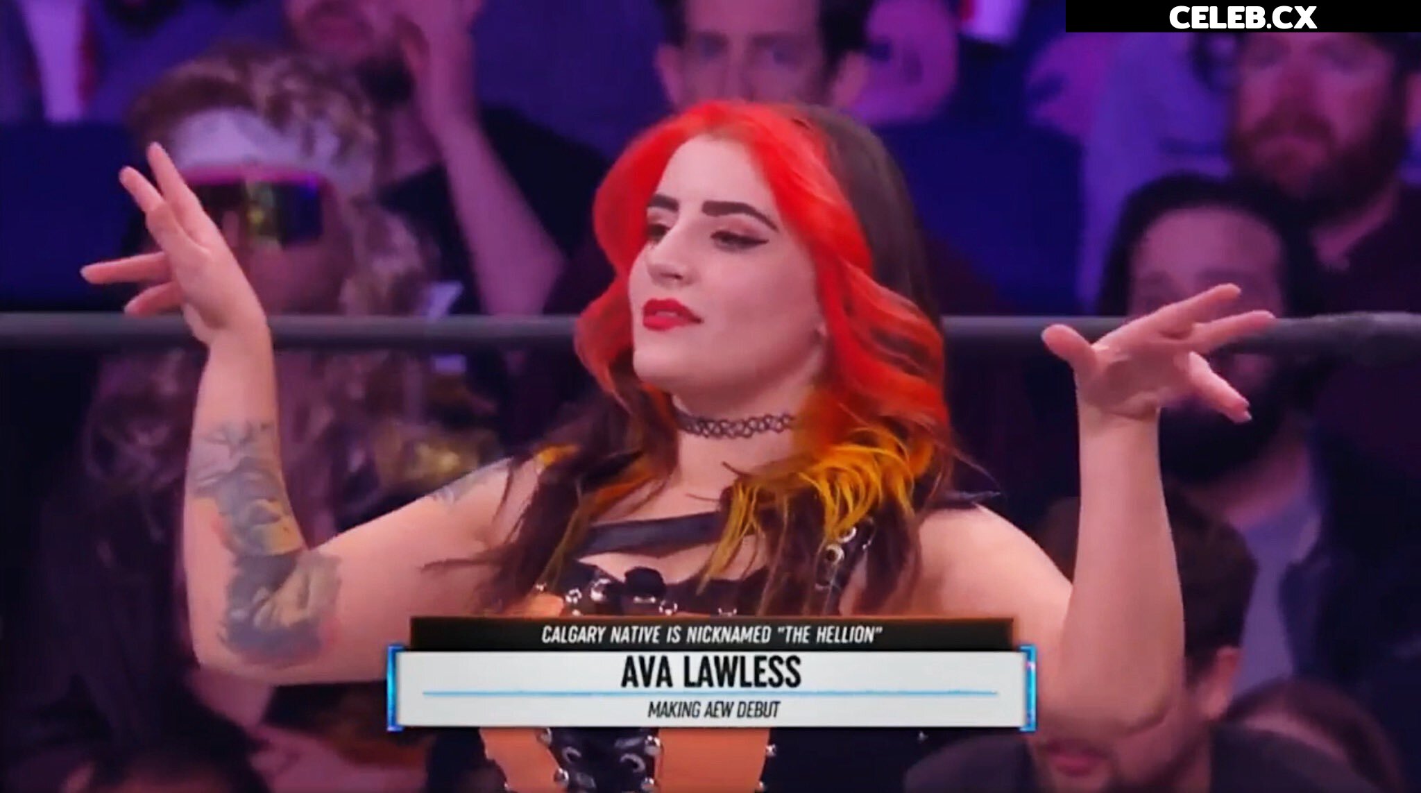 Women of Professional Wrestling Image 7604284