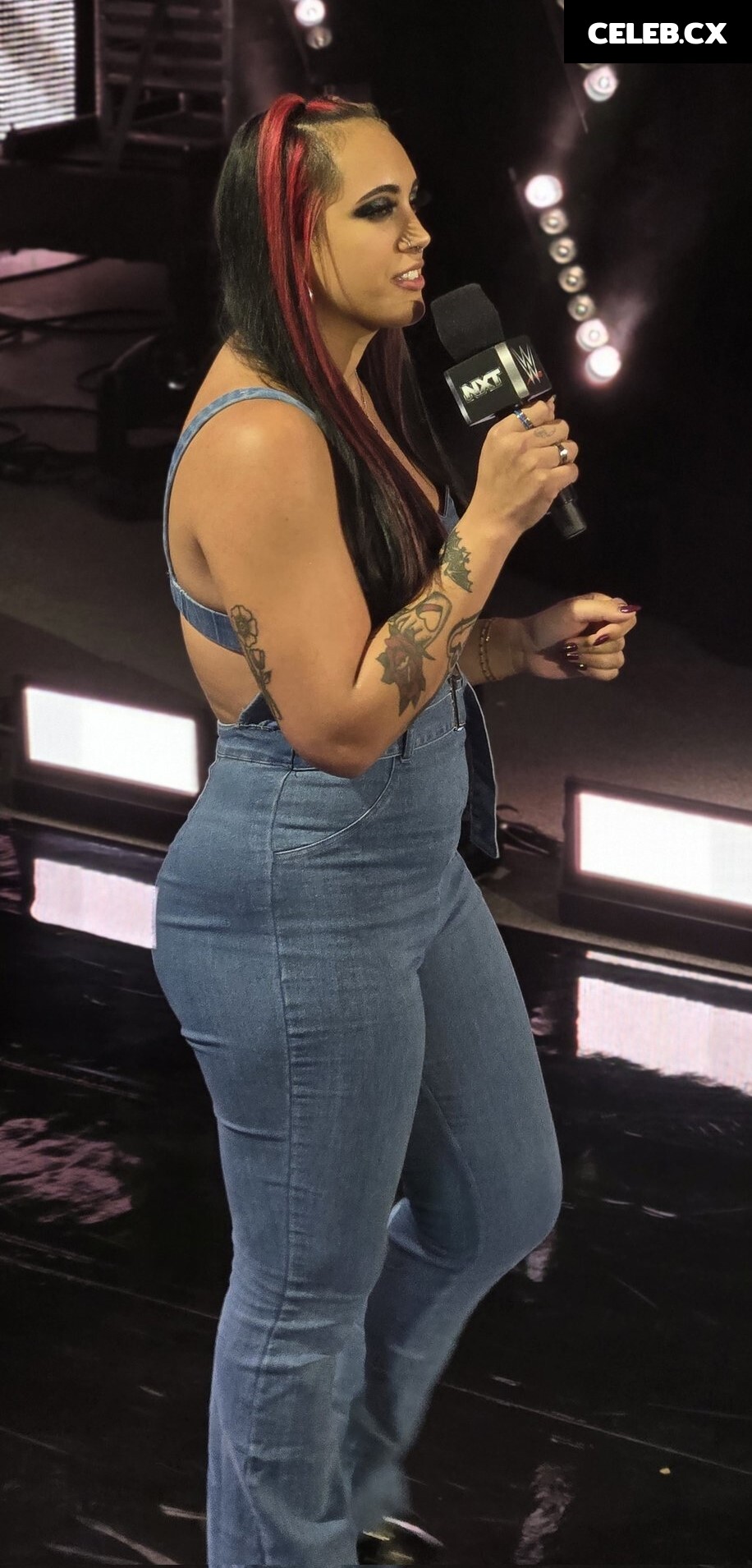 Women of Professional Wrestling Image 7604251