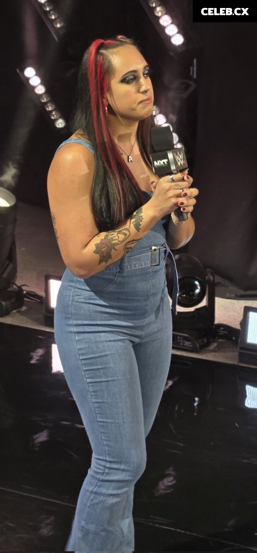 Women of Professional Wrestling Image 7604253