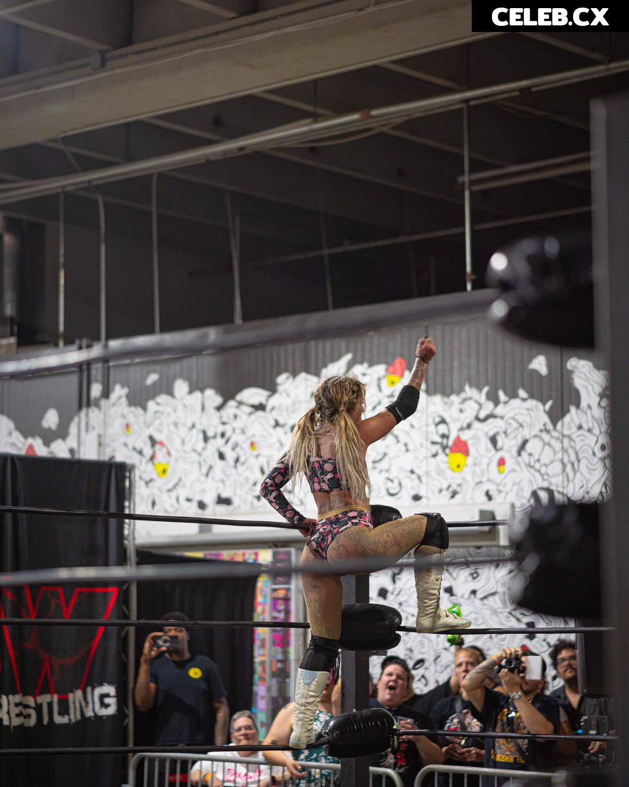 Women of Professional Wrestling Image 7604242