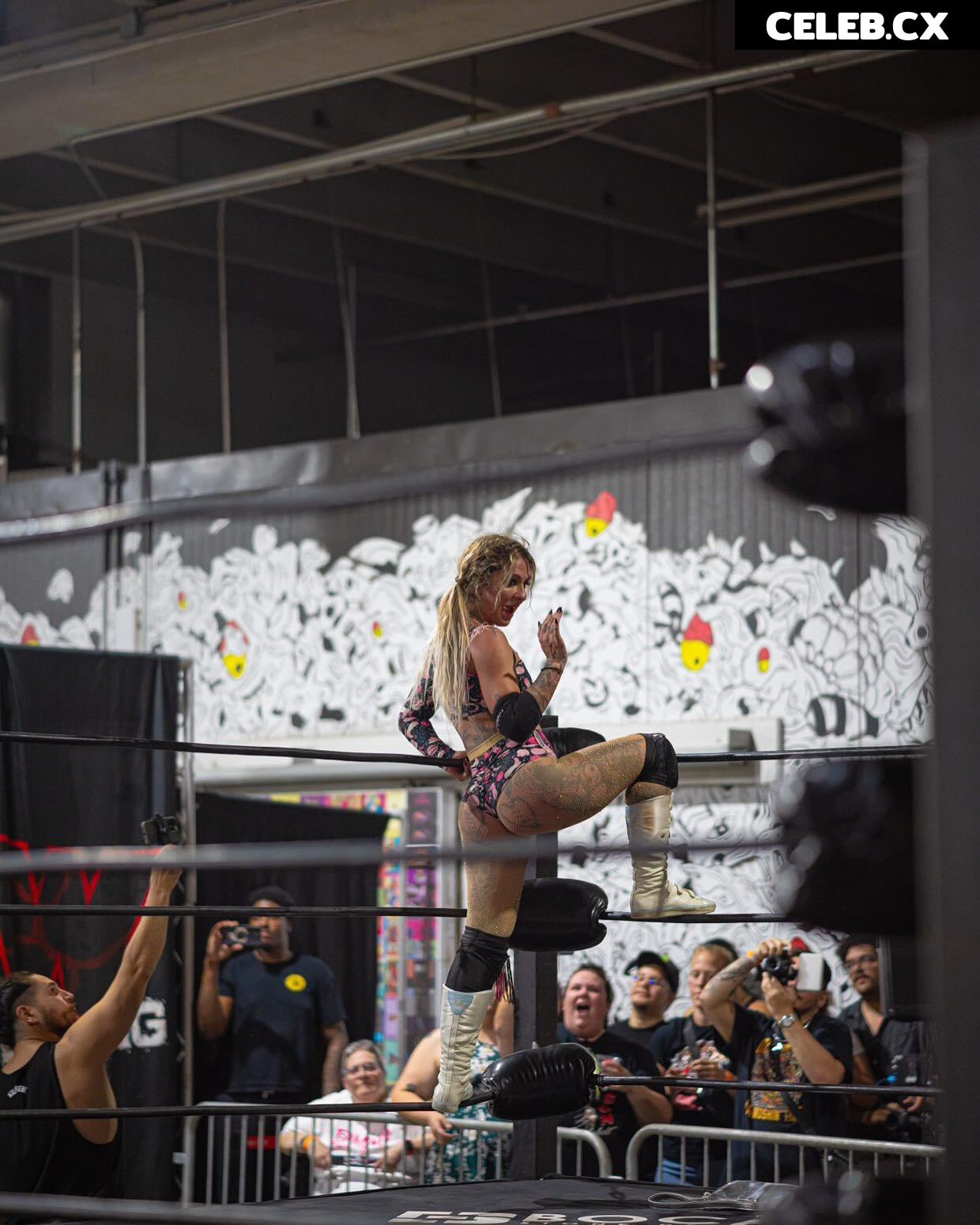 Women of Professional Wrestling Image 7604240