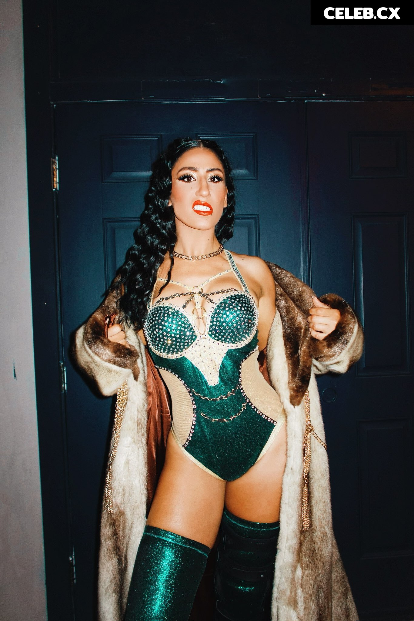 Women of Professional Wrestling Image 7604260