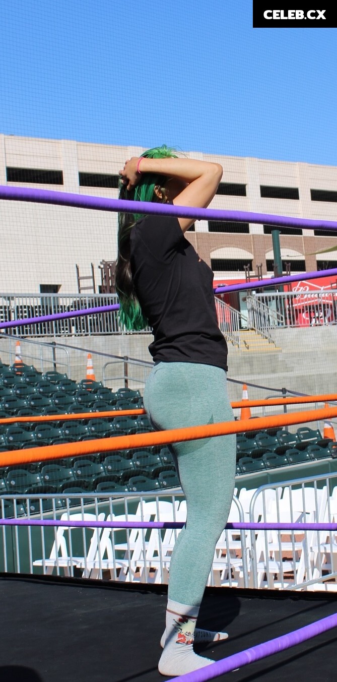 Women of Professional Wrestling Image 7604208