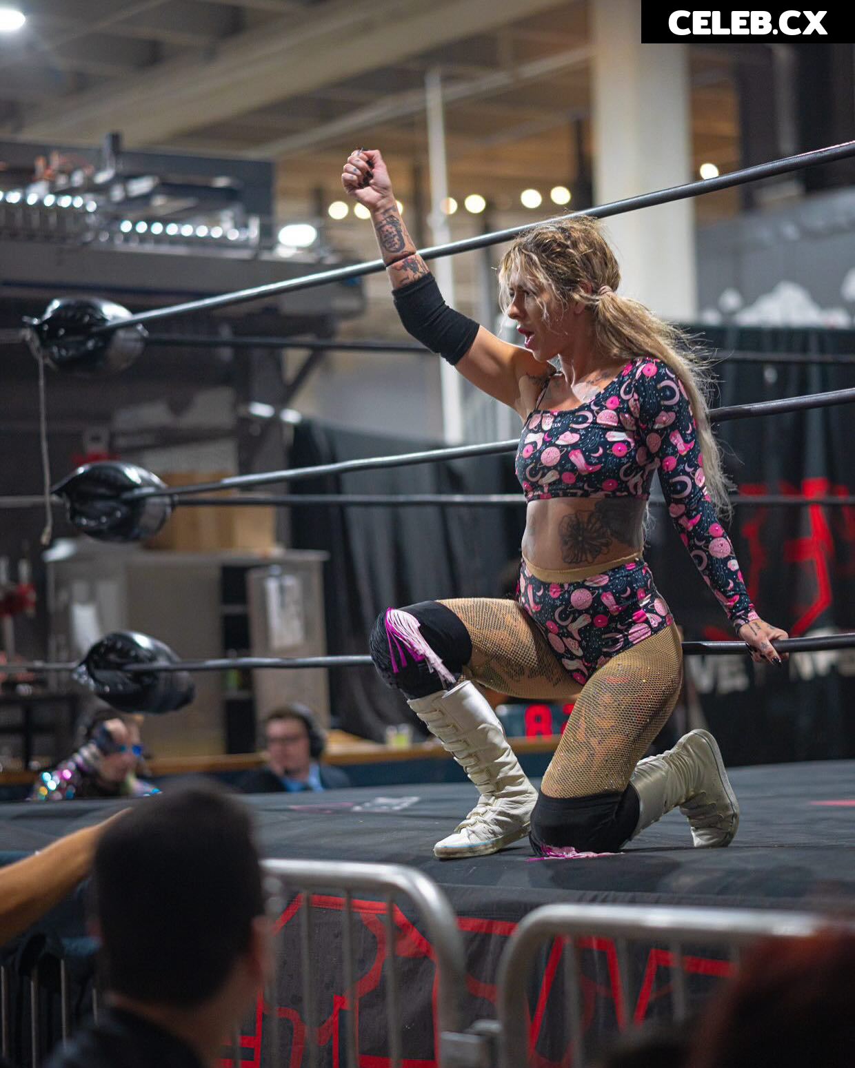 Women of Professional Wrestling Image 7604236