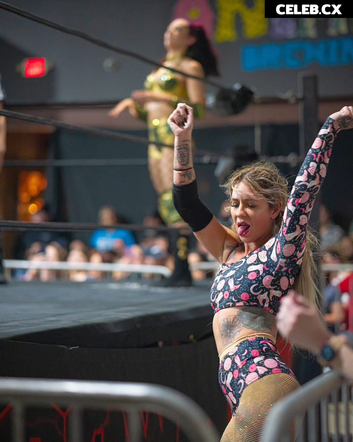Women of Professional Wrestling Image 7604237