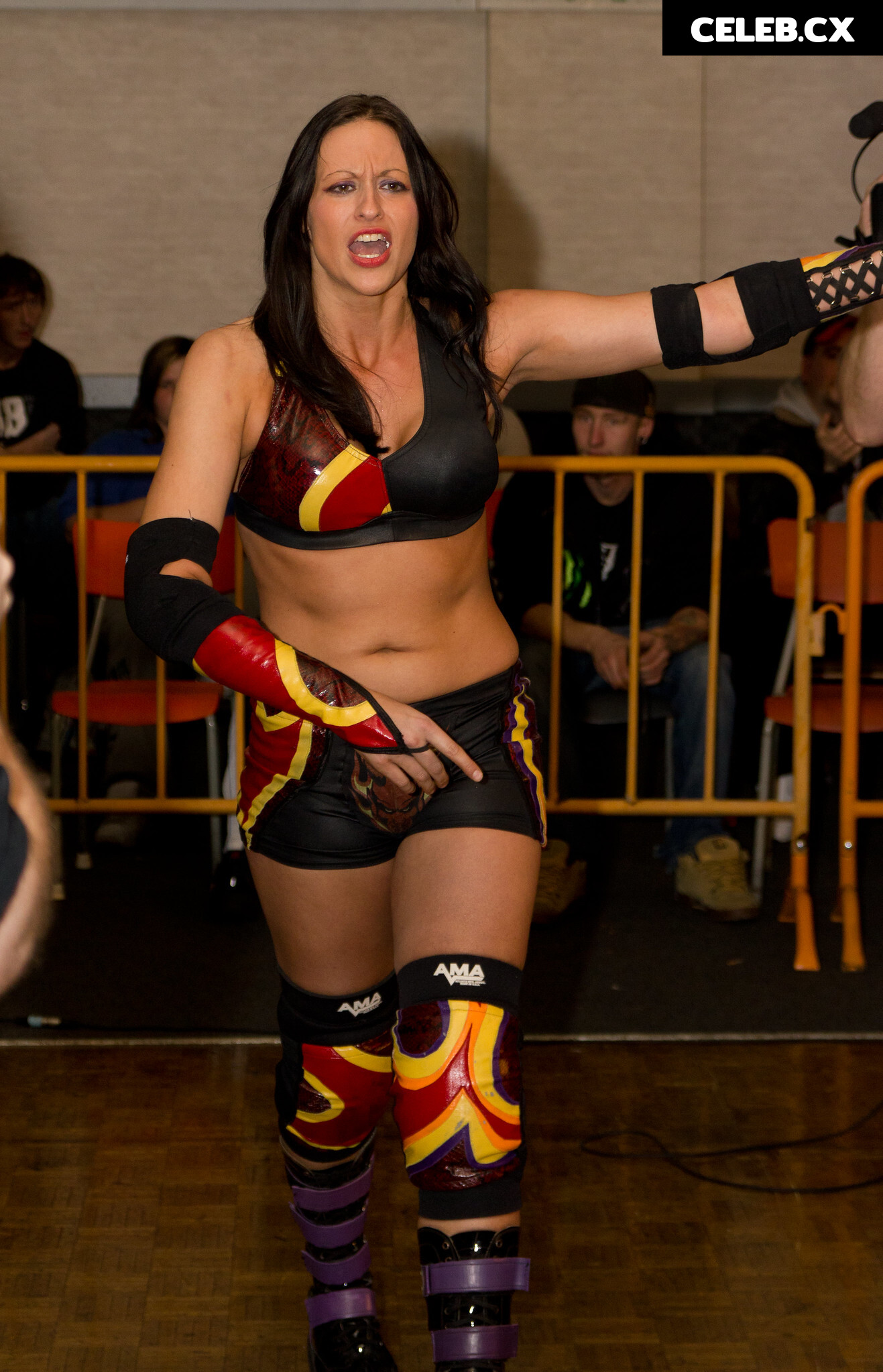 Women of Professional Wrestling Image 7601514