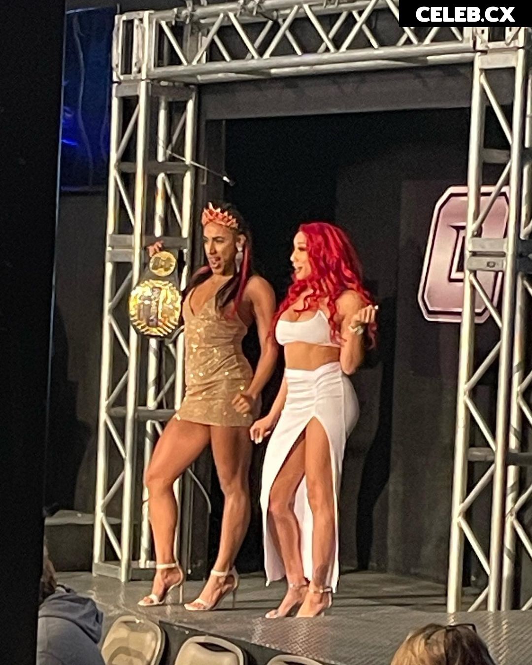 Women of Professional Wrestling Image 7601319