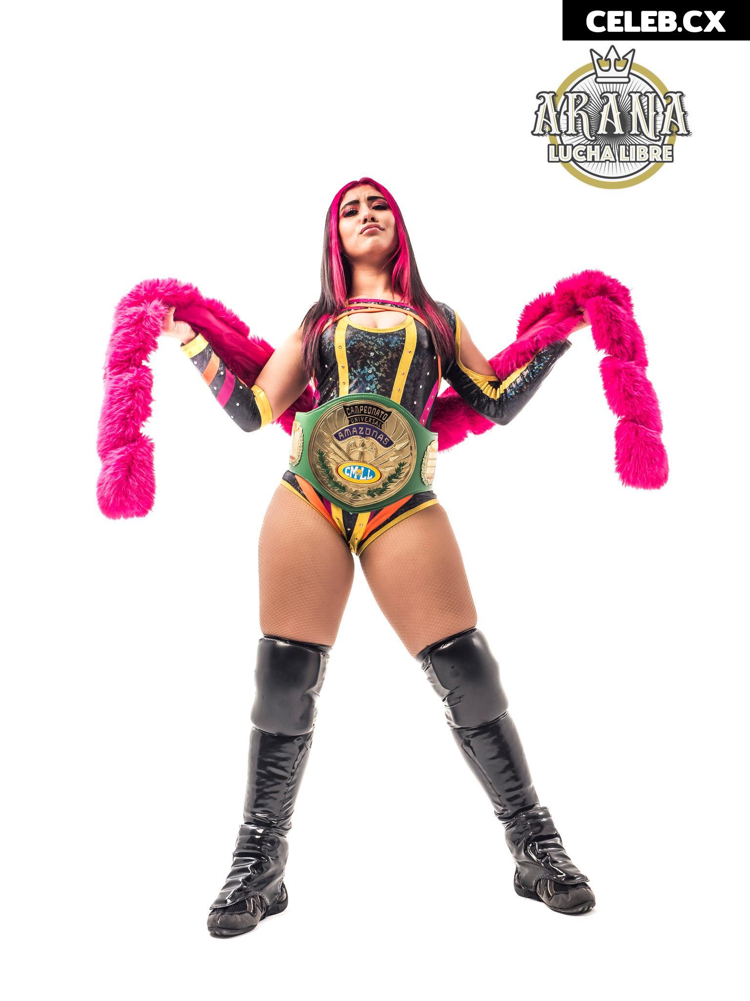 Women of Professional Wrestling Image 7601302