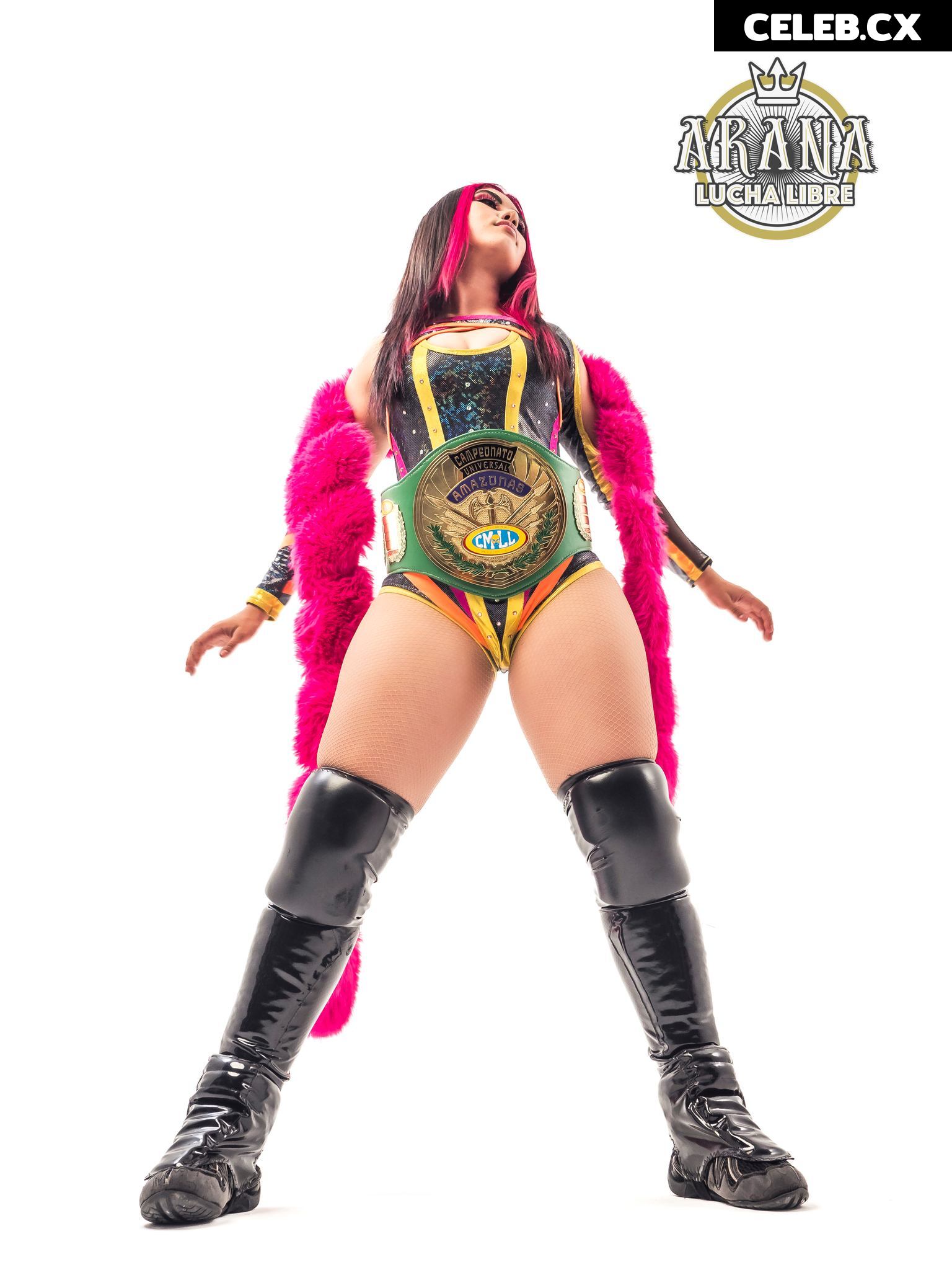 Women of Professional Wrestling Image 7601300