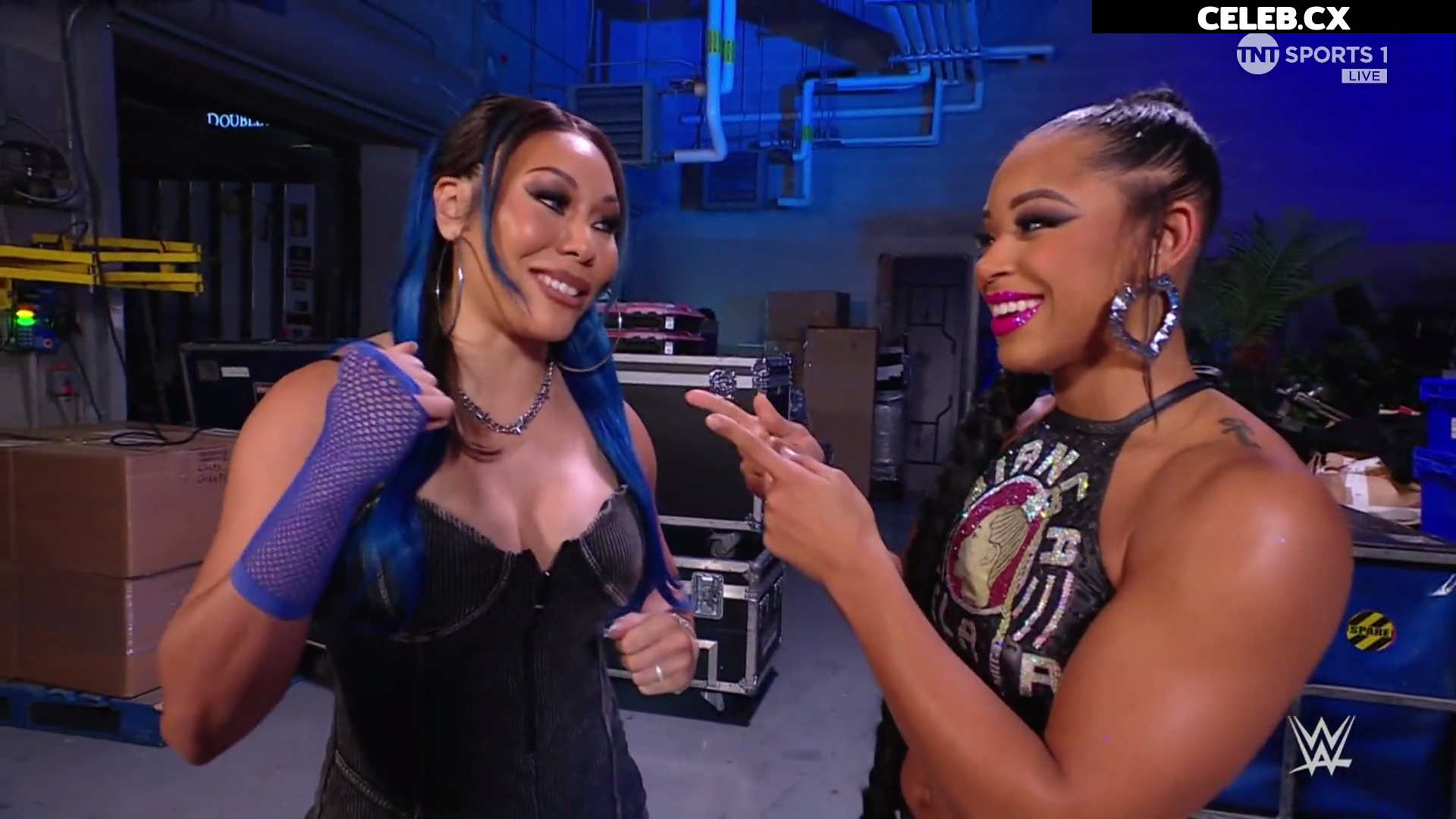 Women of Professional Wrestling Image 7601330