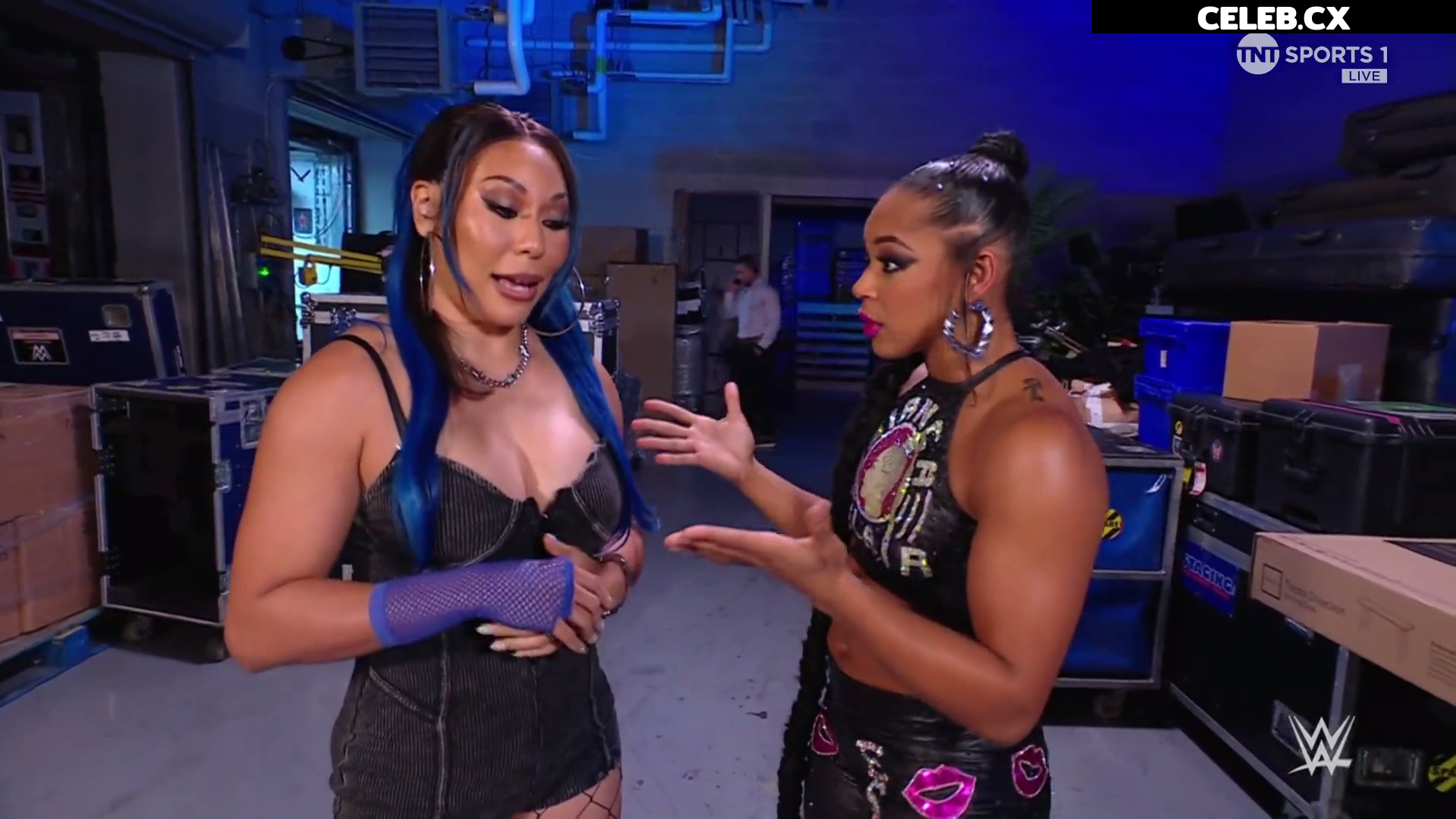 Women of Professional Wrestling Image 7601322