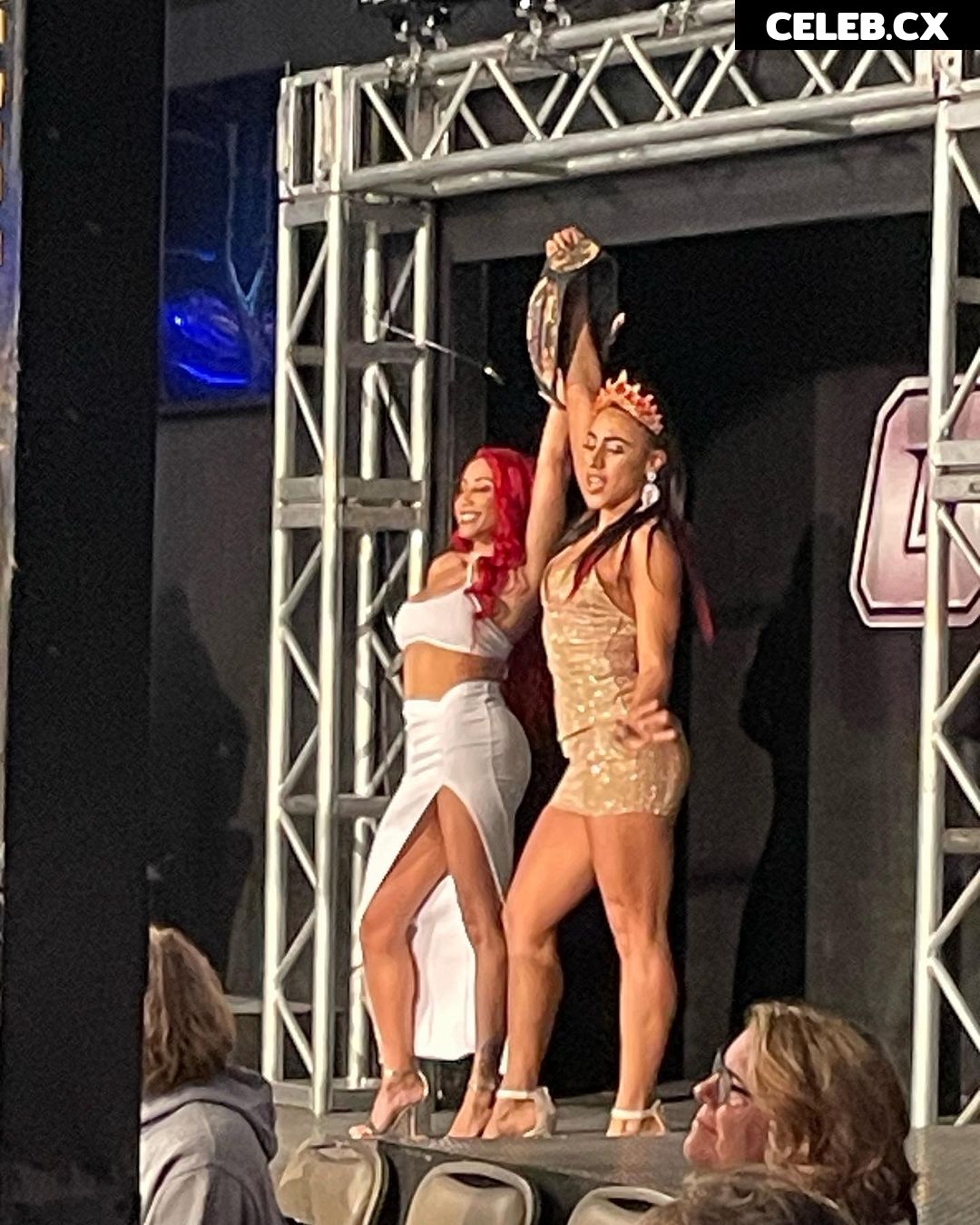 Women of Professional Wrestling Image 7601321