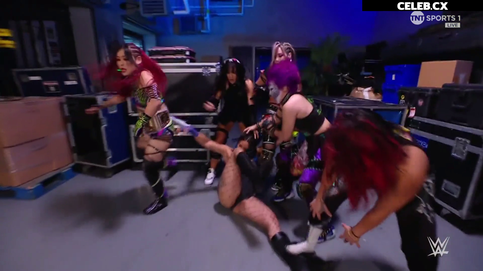 Women of Professional Wrestling Image 7601324