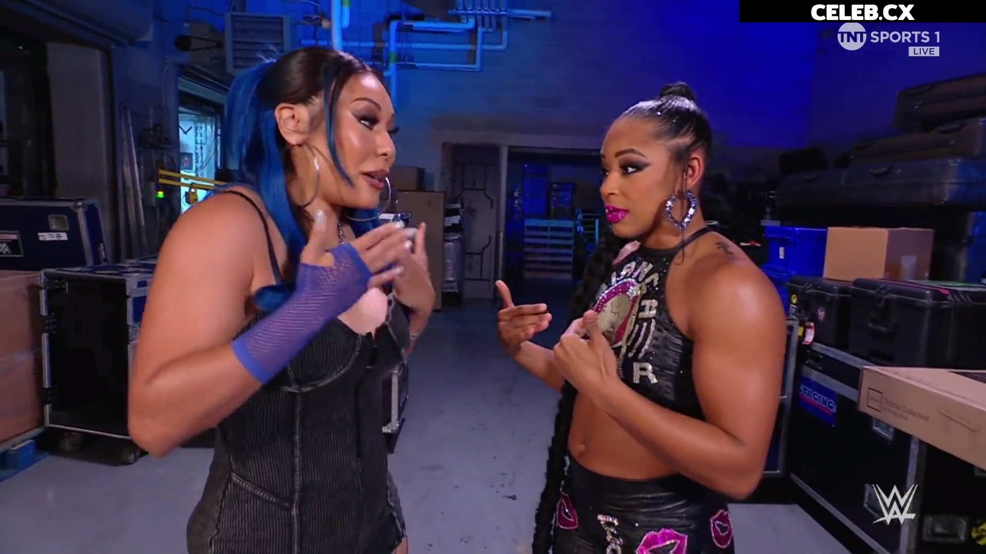 Women of Professional Wrestling Image 7601327