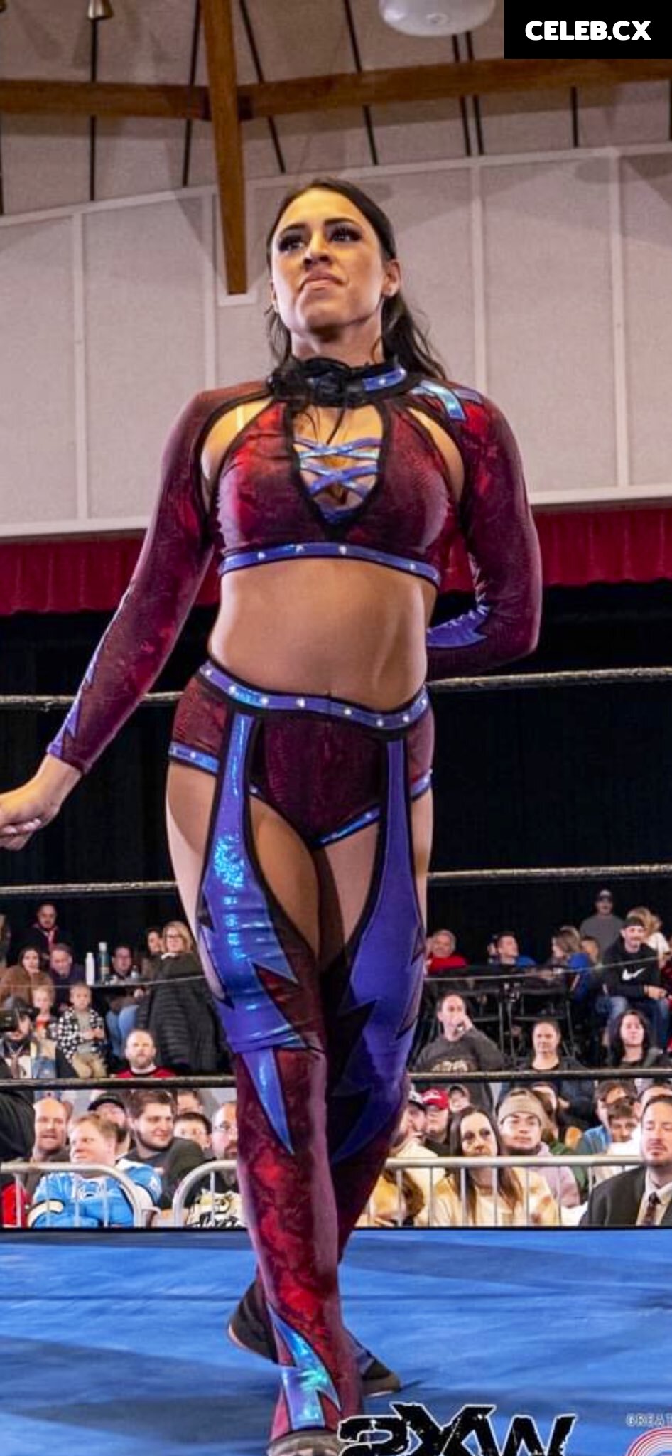 Women of Professional Wrestling Image 7601240