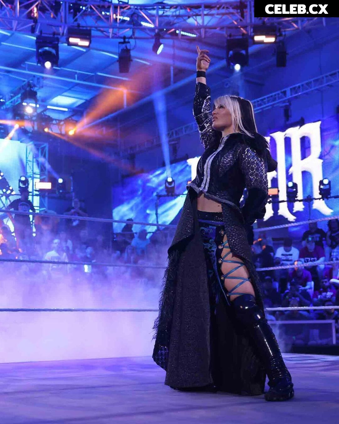 Women of Professional Wrestling Image 7602639