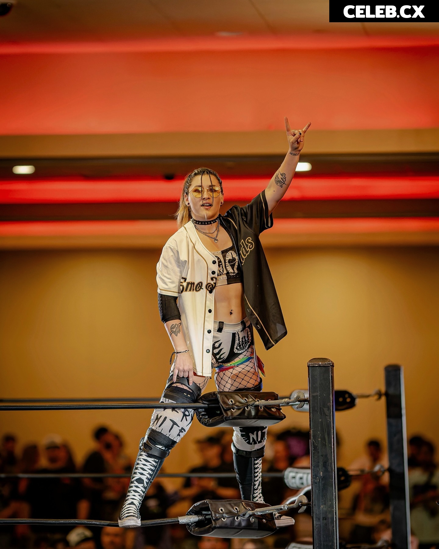 Women of Professional Wrestling Image 7603194