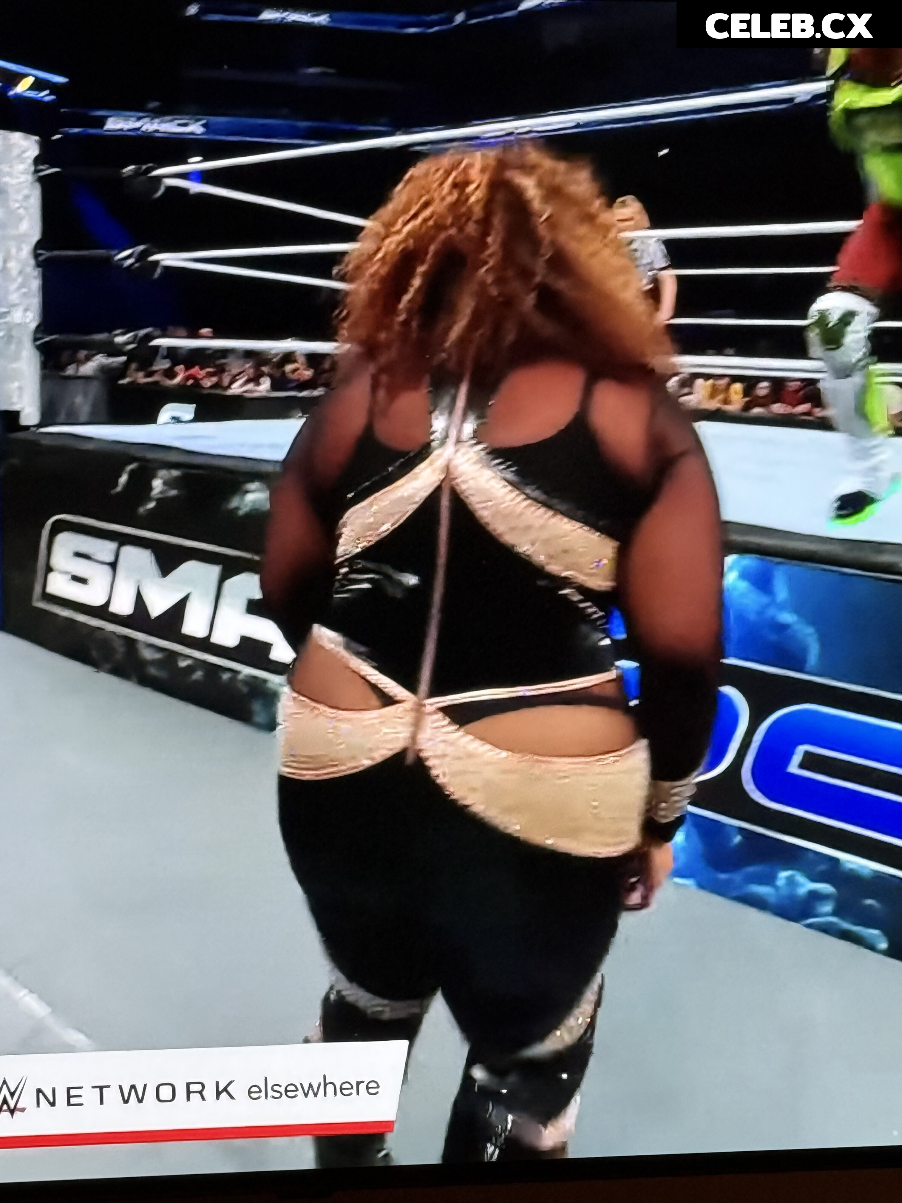 Women of Professional Wrestling Image 7603171