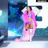 Women of Professional Wrestling Image 7603994