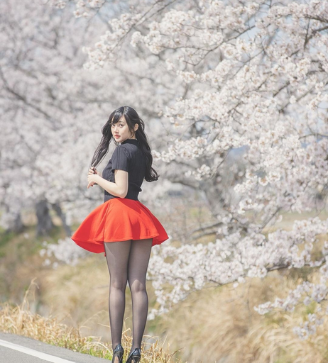 Image 927445 from Ayachamo_1028