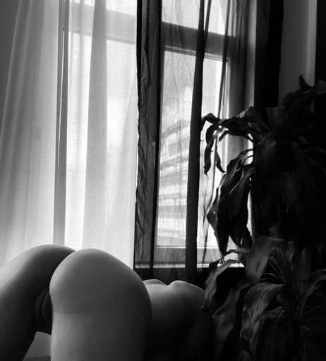 Image 934075 from ziya.mrnwsk