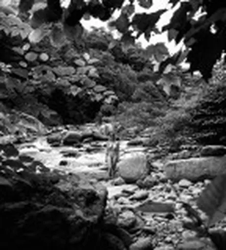 Image 9871882 from luizaconlaz aka Daphnelu