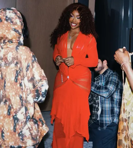 Image 9861887 from SZA | Solana Rowe