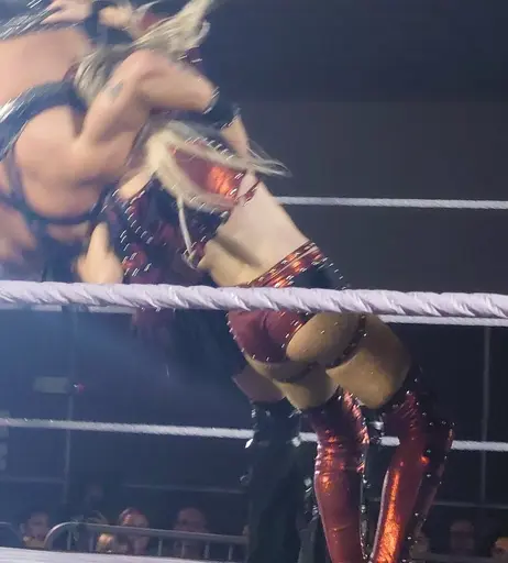 Image 9861970 from Karmen Petrovic - WWE NXT