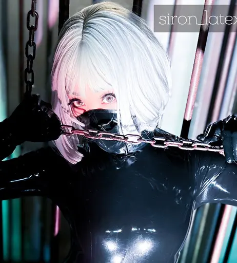 Image 9833884 from siron_latex