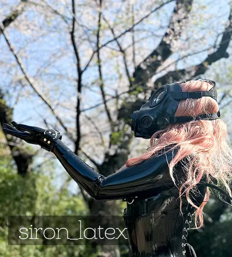 Image 9833902 from siron_latex