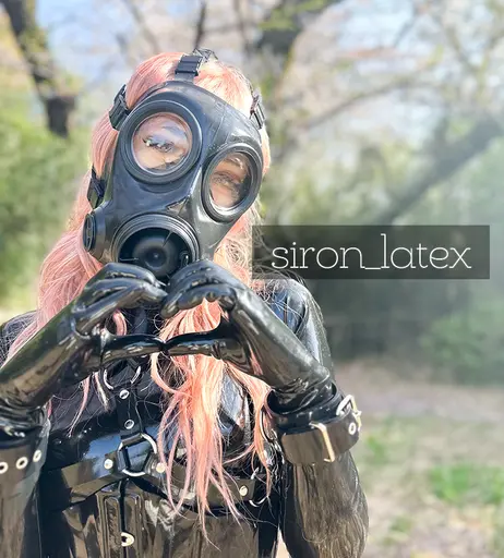 Image 9833901 from siron_latex