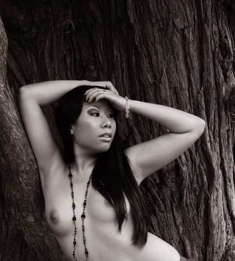 Image 9815365 from Vanny Vong