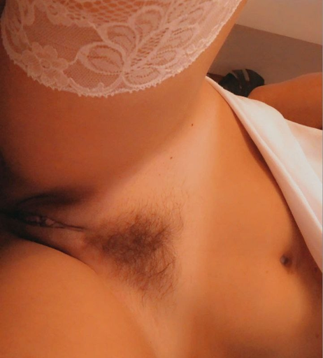 Image 9981967 from Ocicat