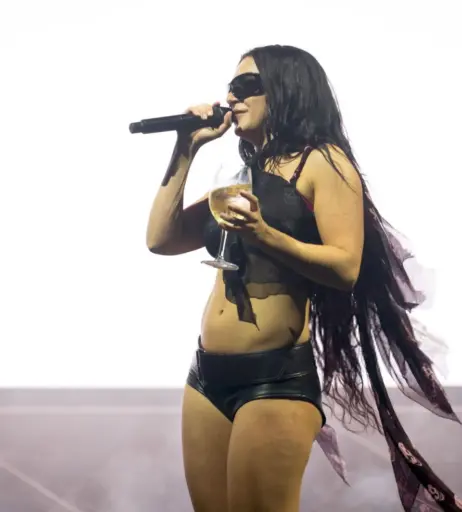 Image 9935580 from Charli XCX