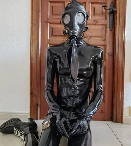 Image 9484435 from AmandaLatex