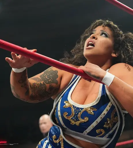 Image 8144926 from Women of Professional Wrestling