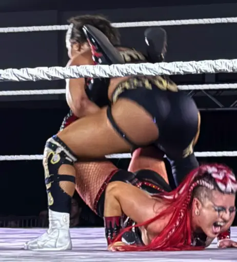 Image 8247702 from Jaida Parker - WWE/NXT