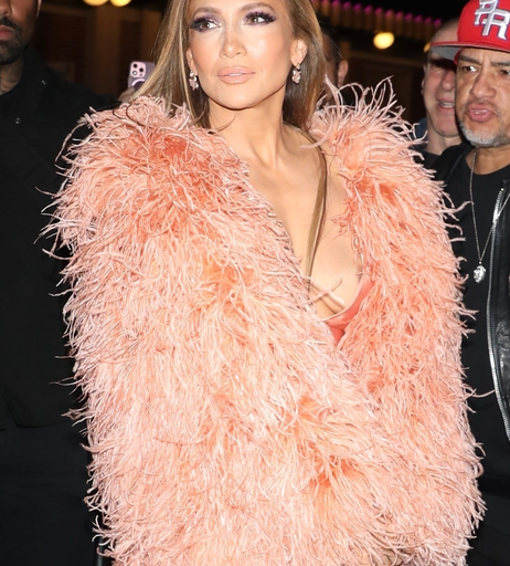 Image 8244313 from Jennifer Lopez